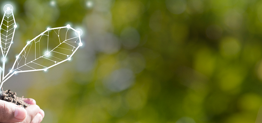 Growing Where You’re Planted