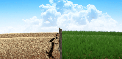 Wrapping Up a Tough Year, In Search of Greener Pastures